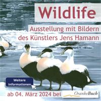 Wildlife - Ausstellung bei OrankeBuch