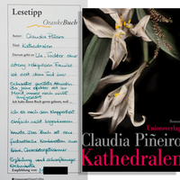 Claudia Pineiro: Kathedralen